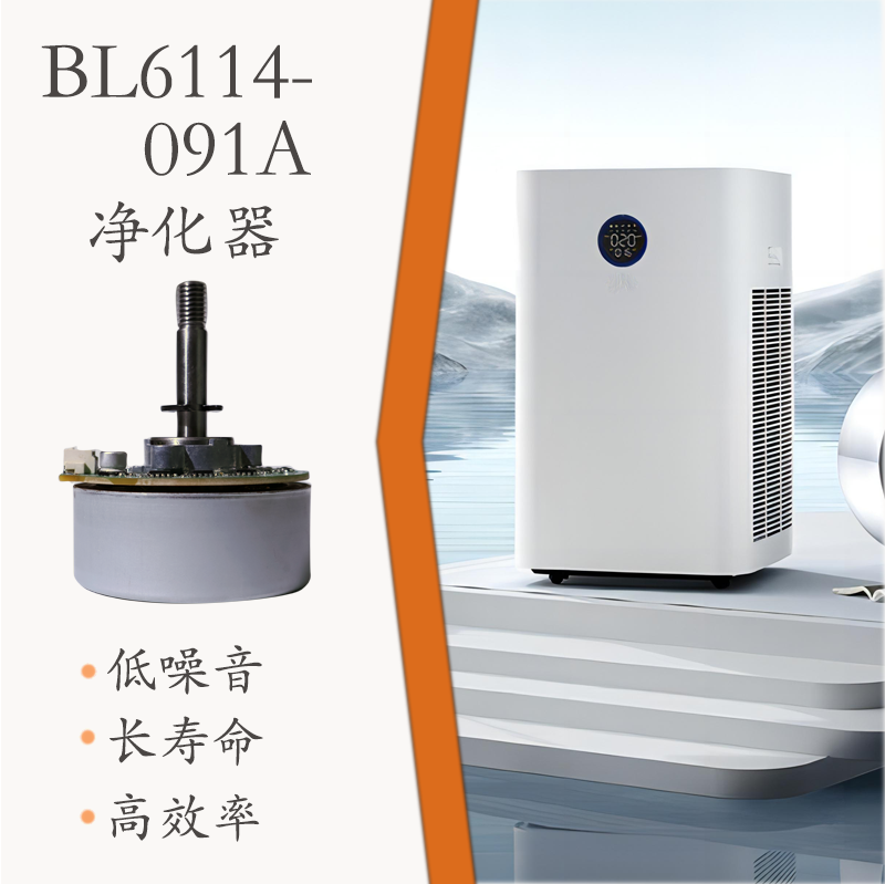 BL6114-091A(圖1)